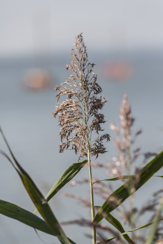 Profilbild von Karlheinz Blietschau